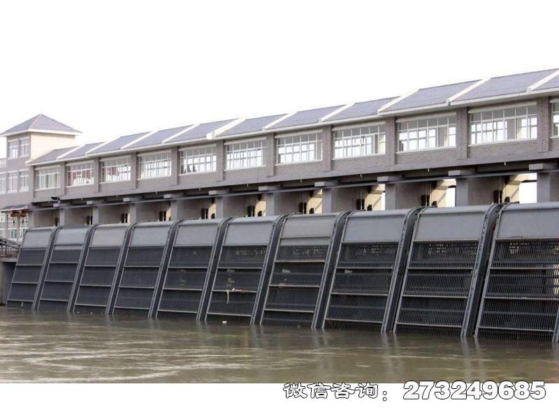 兰考县电厂拦污栅条清污机